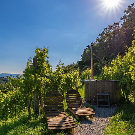 Vineyard Cottage Skatlar 3 Otocec Exterior photo