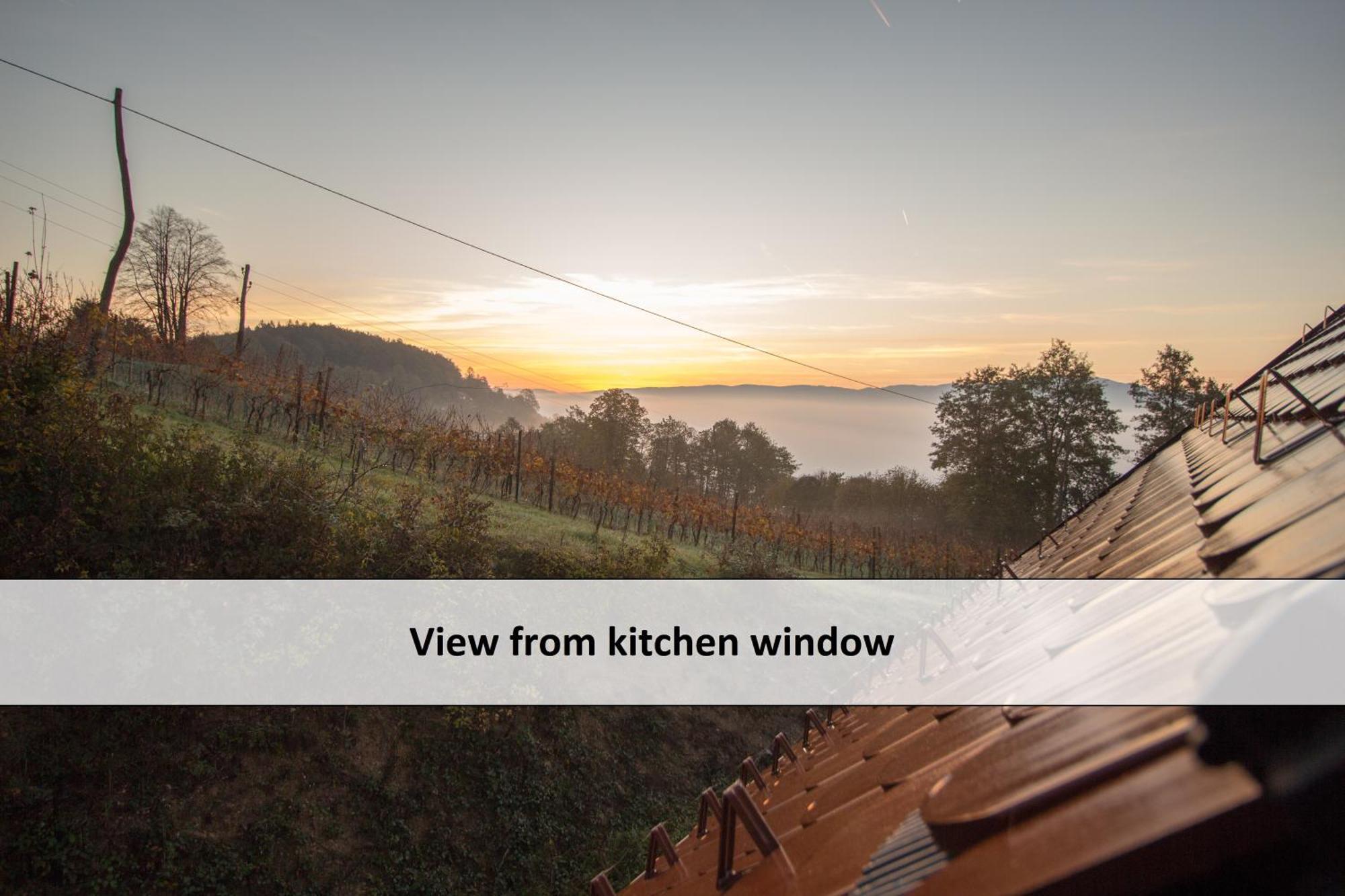 Vineyard Cottage Skatlar 3 Otocec Exterior photo