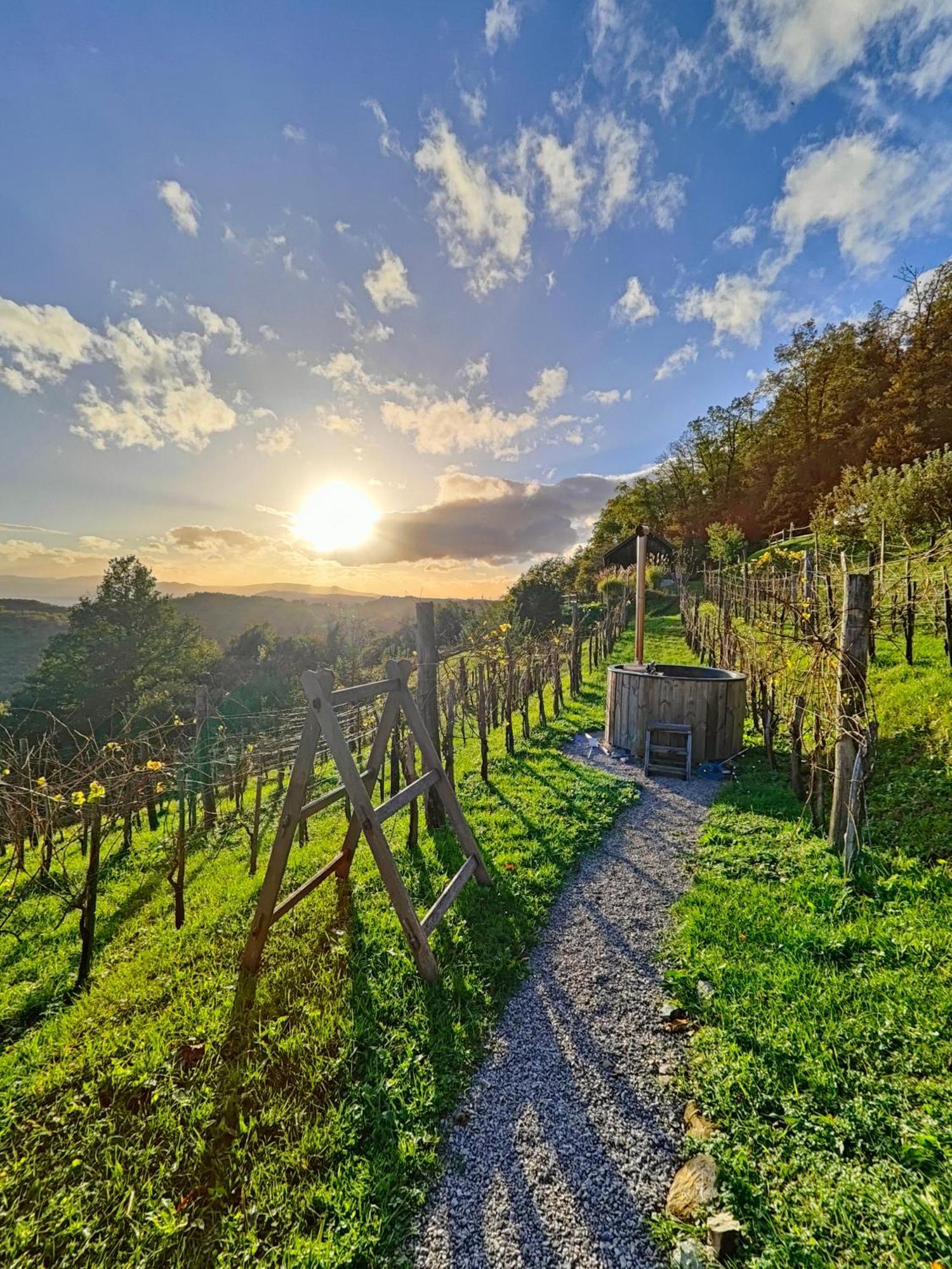 Vineyard Cottage Skatlar 3 Otocec Exterior photo